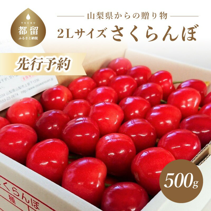 【ふるさと納税】【2022年発送】山梨県産減農薬減化学肥料 2Lサイズさくらんぼ500g【冷蔵】|山梨県 山梨 佐藤錦 紅秀峰 紅てまり 先行 先行予約 2Lサイズ 500g ギフト プレゼント 贈答 減農薬 減化学肥料 フルーツ 果物 果物類 産地直送 送料無料 サクランボ 産地直送 新鮮･･･