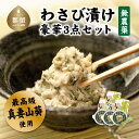 【ふるさと納税】菊地わさび園自慢のこだわり無農薬わさびセット|わさび ワサビ 山葵 わさびめし 小袋 無添加 無農薬 本わさび 菊地わさび園 食べ比べ お試し ...