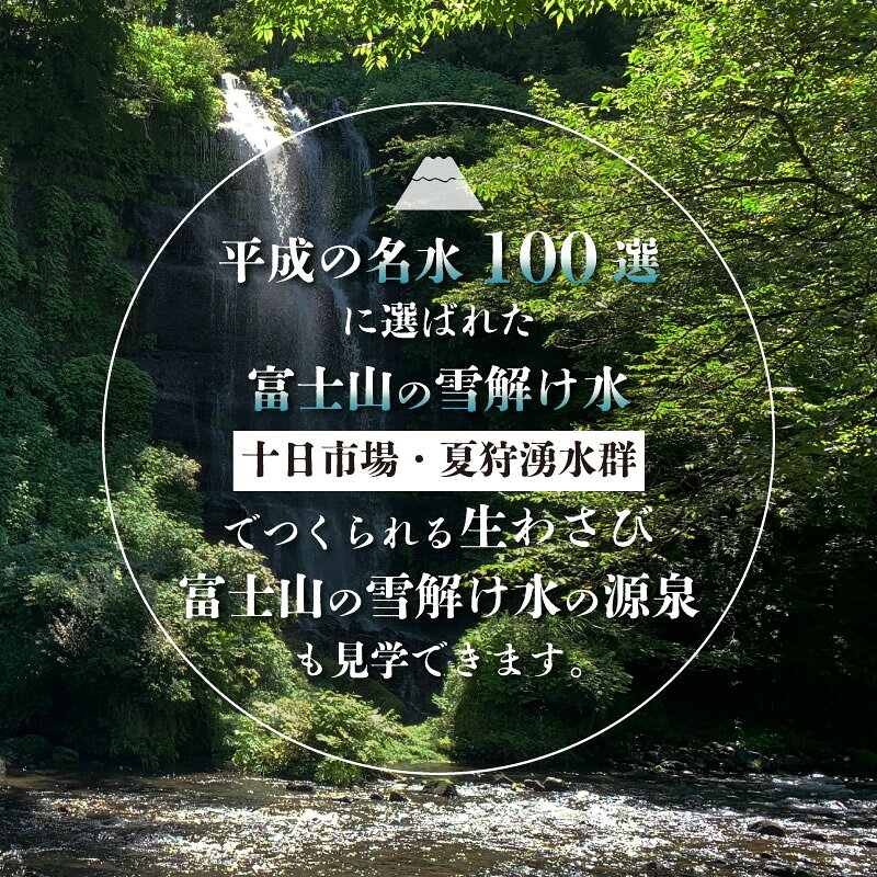 【ふるさと納税】 菊地わさび園でわさび収穫体験 無添加 わさびお土産付き ワサビ 山葵 わさびめし 小袋 無農薬 本わさび f192040-tsuru-10003105 山梨県都留市 サンプル画像3
