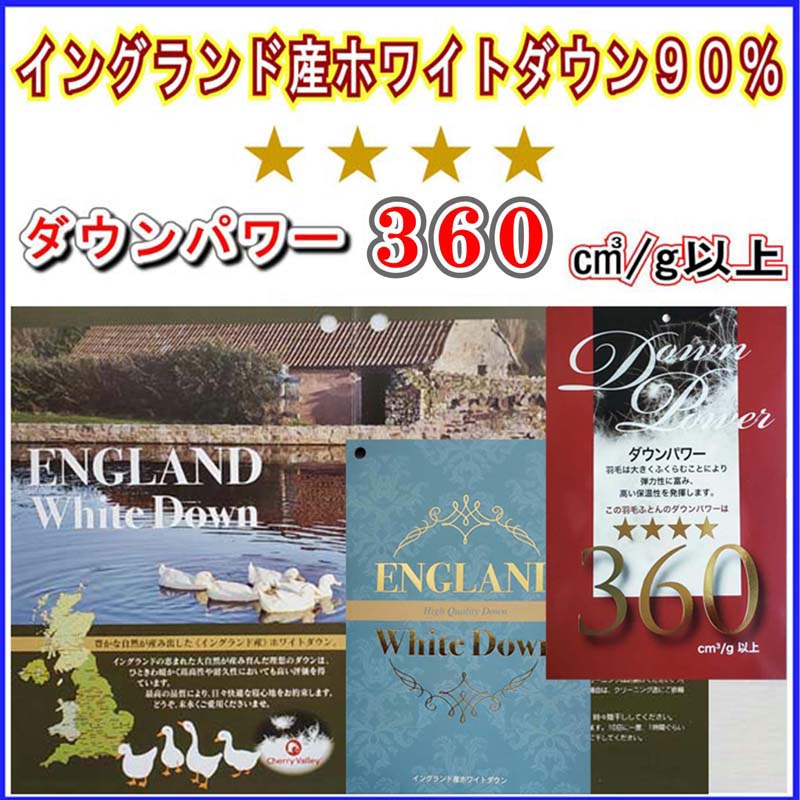 【ふるさと納税】【イングランド産ホワイトダウン90%】羽毛肌布団 240×210cm キング【ダウンパワー360】 羽毛 ダウン 90％ 羽毛布団 羽毛ふとん 掛け布団 肌布団 ホワイトダウン 夏用 綿100%