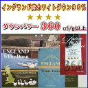 【ふるさと納税】【イングランド産ホワイトダウン90%】羽毛肌布団 220×210cm クィーン【ダウンパワー360】羽毛 ダウン 90％ 羽毛布団 羽毛ふとん 掛け布団 肌布団 ホワイトダウン 綿100% 夏用 2