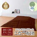 【ふるさと納税】（正方形）あったか 羽毛こたつふとん （200cm×200cm） ダウン70％ ブラウン 【REREX】｜ こたつ布団 羽毛こたつ布団 送料無料 抗菌 防臭 防汚 防ダニ おうちで洗濯 選択可 日本製 リユース羽毛