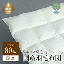 【ふるさと納税】国産【羽毛掛け布団】ダウン80% シングル【リユース羽毛】 エコ エシカル 羽毛 ダウン 羽毛布団 羽毛ふとん 掛け布団 立体キルト