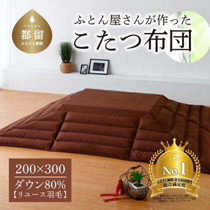 総合満足度1位!国産【羽毛こたつふとん】200×300 ダウン80% 長方形 ブラウン 送料無料 【抗菌 防臭 加工】防汚 加工 防ダニ 加工 おうちで洗濯OK 選択可 カバーいらず!日本製 リユース羽毛