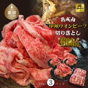 【ふるさと納税】【冷凍】甲州ワインビーフ 熟成肉 切り落とし 0.6kg
