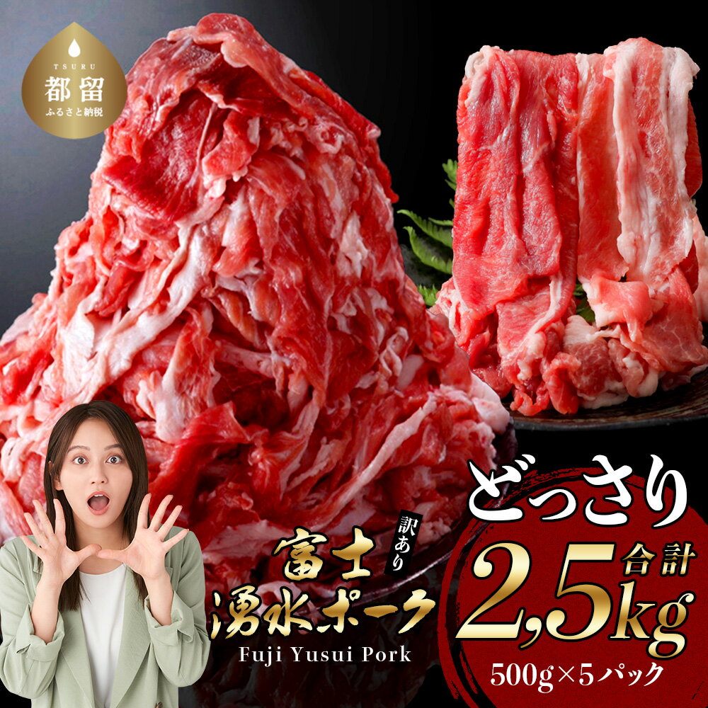 【ふるさと納税】【9/1申し込みより冷凍発送】 富士湧水ポークの切り落とし 2.5kg | 訳あり 豚肉 豚 肉 送料無料 不揃い 規格外 国産 増量 詰め合わせ 小分け 真空 パック着日指定不可 生姜焼き カレー ぶたにく ぶた にく 肉の日 訳アリ 大容量