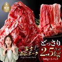 【ふるさと納税】富士湧水ポークの切り落とし 2.5kg | 訳あり 豚肉 豚 肉 送料無料 不揃い 規格外 国産 増量 詰め合わせ 小分け 真空 パック着日指定不可 緊急支援 生姜焼き カレー ぶたにく ぶた にく 肉の日 訳アリ 大容量
