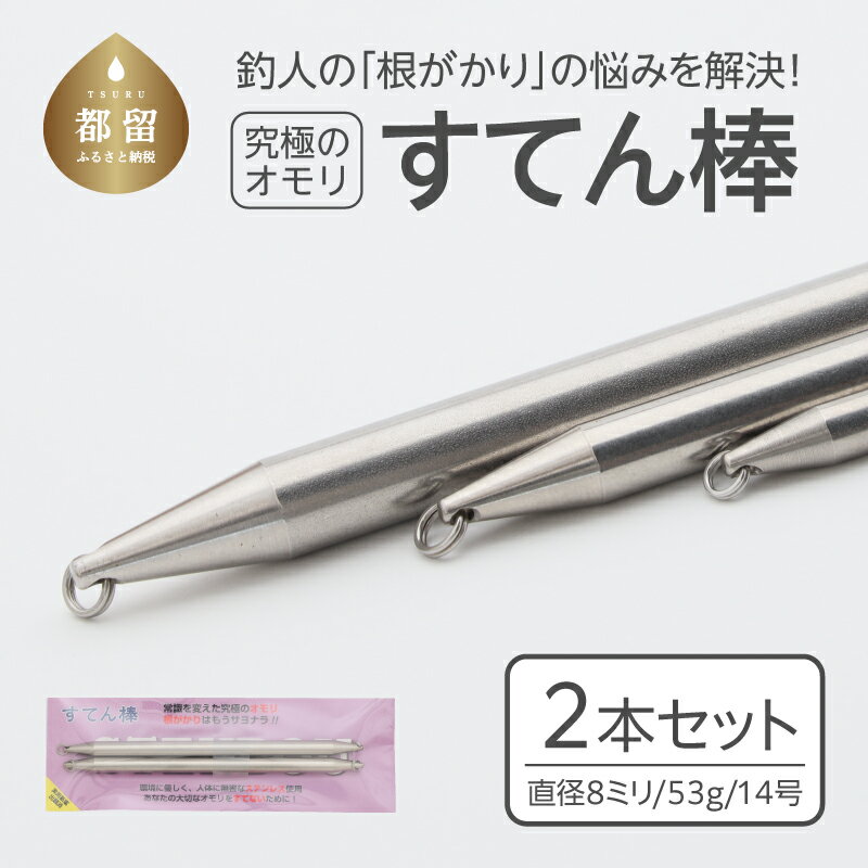 【ふるさと納税】【釣り具】すてん棒　Φ8（直径8ミリ）　53g　14号　2本セット｜ 釣り フィッシング アユ オモリ 根がかり なし ステンレス シンカー サビキ 中オモリ 遠投ウキ釣り 連結可能