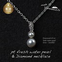 【ふるさと納税】淡水パール&0.01ct ダイヤモンドネックレス(RP-MN-0494)【リズプラス】| ダイヤ ダイヤモンド パール 真珠 プラチナ ネックレス ペンダント ジュエリー アクセサリー ギフト プレゼント 鑑別書付 保証書付