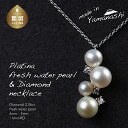 【ふるさと納税】 淡水パール&0.06ct ダイヤモンドネックレス(RP-MN-0184)【リズプラス】| ダイヤ ダイヤモンド パール 真珠 ネックレス ペン...