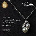 【ふるさと納税】 淡水パール&0.08ct ダイヤモンドネックレス(RP-MN-0187)【リズプラス】| ダイヤ ダイヤモンド パール 真珠 ネックレス ペン...