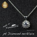 【ふるさと納税】ダイヤモンドネックレス 0.21ct(RP_MN-677)【リズプラス】| ダイヤ ダイヤモンド プラチナ ネックレス ペンダント ジュエリー ...