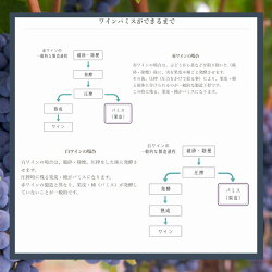 【ふるさと納税】理容師が作った、髪にも、地球にも優しい「ワインパミストリートメント」送料無料 ワインエキスを配合したトリートメント。ワインパミスに含まれるポリフェノールと、アルガンオイルを配合したリッチなワインエキスを使用したトリートメントです。･･･ 画像2