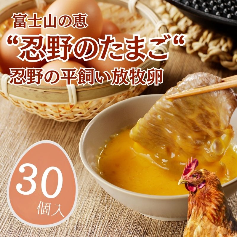 忍野の平飼い放牧卵 30個 |山梨県産 新鮮 産地直送 たまご 平飼い 放牧 卵 玉子 送料無料 送料込 家庭用 鶏卵 生卵 コク うまみ 濃厚 美味しい 自然豊か のどか 白身 黄身 プリン 安心 元気 栄養満点 安全 こだわり 贈答 贈り物 旨い