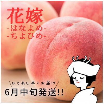 旬を先取り!甘く可憐な「花嫁(はなよめ)」「ちよひめ」約1kg 6月中旬発送【配送不可地域：離島・沖縄県】【1017344】
