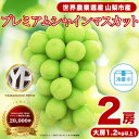 【ふるさと納税】【先行受付】山梨産シャインマスカット 2房(約1.2kg)YAMANASHI PRIDEプレミアム【配送不可地域：離島】【1105033】･･･