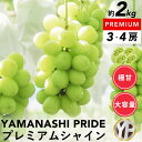 山梨産厳選シャインマスカット 3～4房 (約2kg) YAMANASHI PRIDE