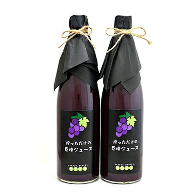 【ふるさと納税】ぶどうジュース 720ml 2本 銀河農園まきおかの絞っただけの 巨峰ジュース_ ふるさと納税 ふるさと ブドウジュース ジュース フルーツジュ...