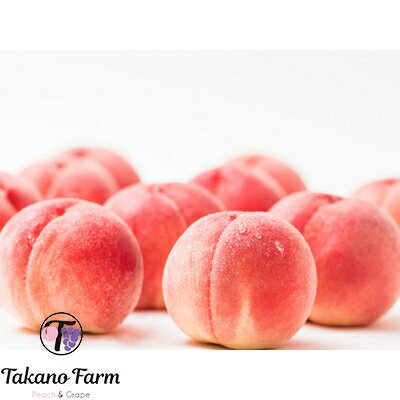 【数量限定】Takano Farmの完熟もも　約3kg【配送不可地域：離島】【1115746】