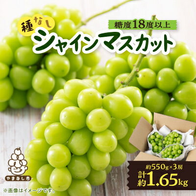 【ふるさと納税】山梨市産「シャインマスカット(種なし)」 約1.65kg (約550g×3房)【配送不可地域:離島・沖縄県】【1117302】