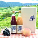 9位! 口コミ数「0件」評価「0」山梨県産【牧丘の巨峰】720ml&【山梨の桃】720mlジュースセット【1124235】