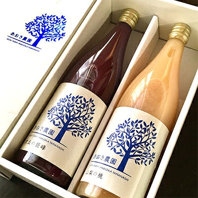 【ふるさと納税】ぶどうジュース 桃ジュース 各720ml 計2本 山梨県産【牧丘の巨峰】&【山梨の桃】ジュースセット_ ふるさと納税 ふるさと 桃 もも モモ ぶどう ブドウ 葡萄 巨峰 ジュース フルーツジュース ももジュース ブドウジュース 山梨県 山梨市【1124235】