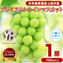 【ふるさと納税】フルーツ王国山梨産厳選 大房シャインマスカット 1房 (約700~800g)【配送不可地域:離島】【1134568】