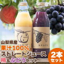 2位! 口コミ数「1件」評価「5」桃と葡萄まるごとギュッと!【無糖】100%ストレートジュース2種セット【1150443】