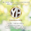 山梨県山梨市の画像2