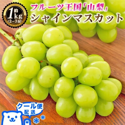 【ふるさと納税】2026年発送 山梨県産 シャインマスカット 約1kg(2～3房) 山梨が誇る人気果物 熟練農家厳選【配送不可地域：離島・沖縄県】【1272524】のサムネイル