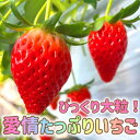 【ふるさと納税】【おばあちゃんの愛情たっぷり】山梨県山梨市産びっくり大粒いちご【章姫】【冷蔵便】【1280752】