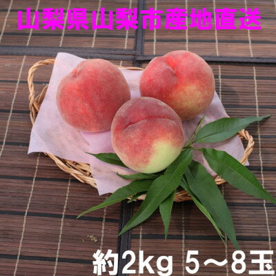 【ふるさと納税】山梨県山梨市産 桃 約2kg(5～8玉)【配