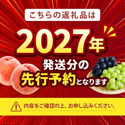 【ふるさと納税】2027年発送先行予約 シャインマスカット 巨峰 2種セット 大人気ぶどう2種盛り合わせ計1kg以上_ ふるさと納税 ふるさと ブドウ 葡萄 マスカット フルーツ 果物 くだもの 食べ比べ 詰め合わせ 人気 美味しい 山梨県 山梨市【配送不可地域：離島】【1296211】 f192058-yamanashi-10000679 山梨県山梨市 サンプル画像2