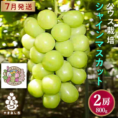 【ふるさと納税】ハウス栽培7月出荷シャインマスカット(2房約800g)世界農業遺産認定地特産【配送不可地域:離島】【1296283】