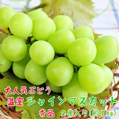 【季節を先取り】【大人気】山梨県産 厳選!温室シャインマスカット 秀品 2房(約1kg)【配送不可地域：離島】【1297127】