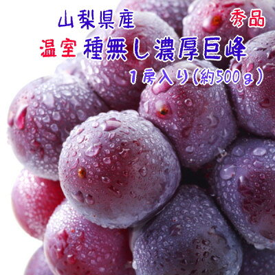 【季節を先取り】【大人気】山梨県産 厳選!温室種無し巨峰 秀品 1房(約500g)【配送不可地域：離島】【1297132】