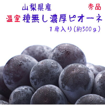 【季節を先取り】【大人気】山梨県産 厳選!温室種無しピオーネ 秀品 1房(約500g)【配送不可地域：離島】【1297134】