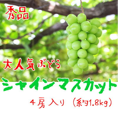 【大人気】ぶどう名産地やまなしの厳選!濃厚シャインマスカット 秀品 約1.8kg(4房)入り【配送不可地域：離島】【1297223】