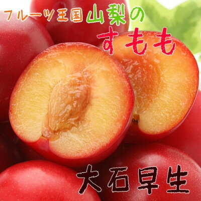 【ふるさと納税】【大人気】フルーツ王国やまなしの厳選!すもも(プラム)【大石早生】秀品　約2kg入り【配送不可地域：離島】【1297428】のサムネイル
