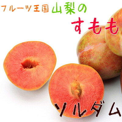 【大人気】フルーツ王国やまなしの厳選!すもも(プラム)【ソルダム】秀品 約2kg入り【配送不可地域：離島】【1297429】