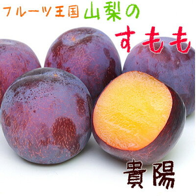 【大人気】【高級】フルーツ王国やまなしの厳選!すもも【貴陽プラム】 秀品 約2.4kg入り【配送不可地域：離島】【1297434】