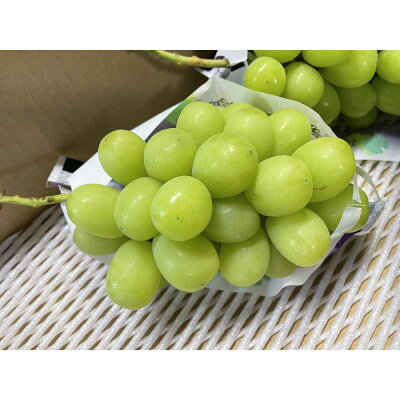 【農家直送】山梨産シャインマスカット 2房(約1kg)【配送不可地域：離島】【1325758】