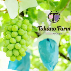 【ふるさと納税】【先行受付】【数量限定】Takano Farmのシャインマスカット　約2kg【配送不可地域：離島】【1327875】 画像1