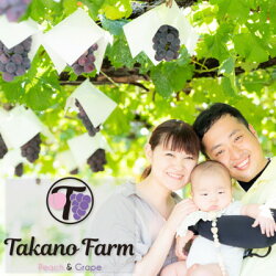 【ふるさと納税】【先行受付】【数量限定】Takano Farmのシャインマスカット　約2kg【配送不可地域：離島】【1327875】 画像2