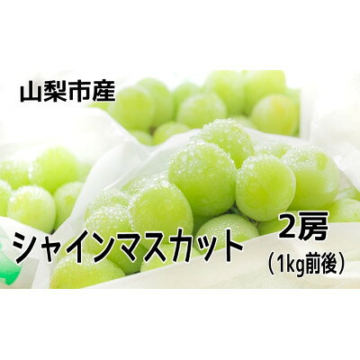 シャインマスカット 1kg前後(2房)【配送不可地域：離島】【1349958】