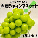 【ふるさと納税】【!ビックリ!】大房シャインマスカット【1房1kg以上】【1349971】