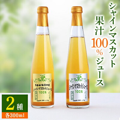 【ふるさと納税】【数量限定】シャインマスカット 果汁100% ジュース 2種 ストレート スパークリング 各300ml ぶどうジュース _ ふるさと納税 ふるさと フルーツジュース ジュース ぶどう ブドウ 山梨県 山梨市 山梨 ギフト プレゼント 贈り物 【1359117】