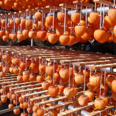 【ふるさと納税】甲州名産「枯露柿」L〜LLサイズ16個入り〜20個入り 1.2kg以上【1361416】