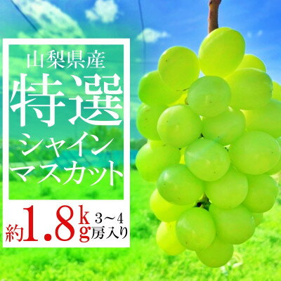 14位! 口コミ数「0件」評価「0」山梨県山梨市産　特選　旬の採れたてシャインマスカット　約1.8kg　3～4房【配送不可地域：離島】【1365850】