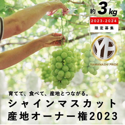 【2023年度】シャインマスカットオーナー権 育てて、食べて、産地とつながる。【1368126】